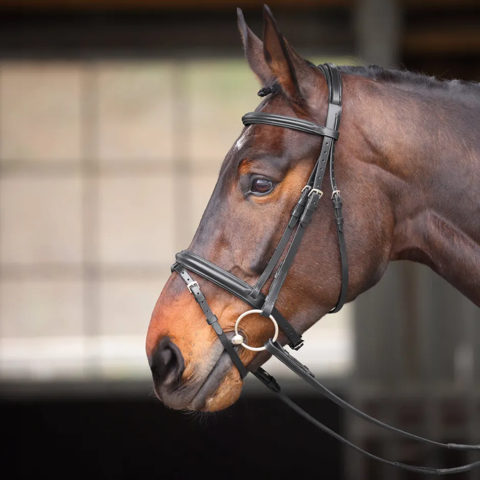 Shires Equestrian Velociti GARA Comfort Fit Bridle