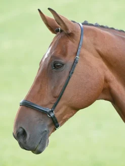 Shires Equestrian Velociti GARA Drop Noseband