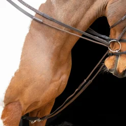 Shires Equestrian Velociti GARA Elasticated Draw Reins