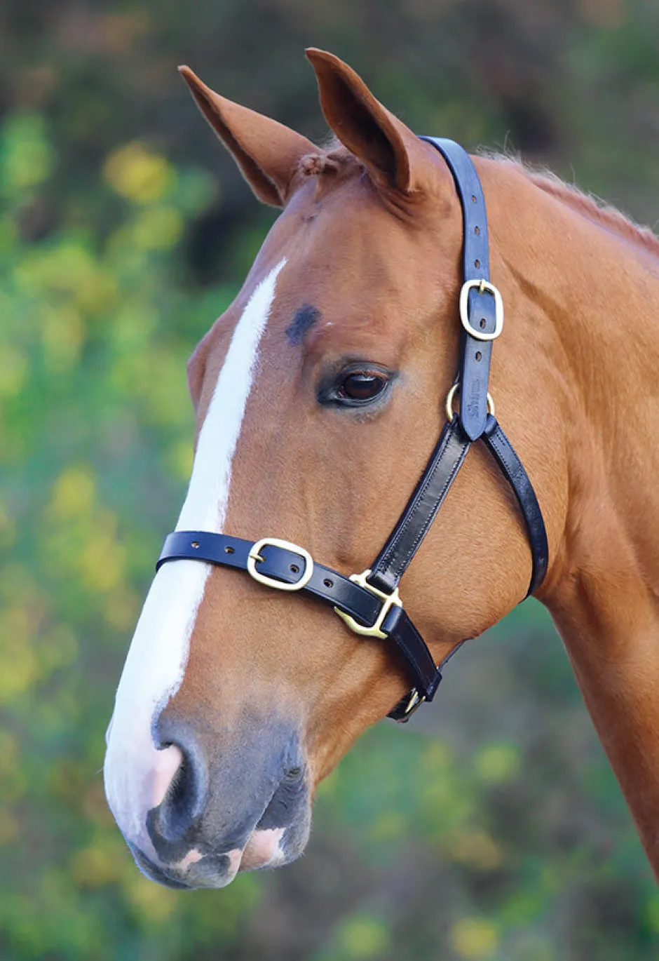 Shires Equestrian Velociti GARA Fully Adjustable Leather Headcollar