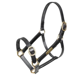 Shires Equestrian Velociti GARA Fully Adjustable Leather Headcollar