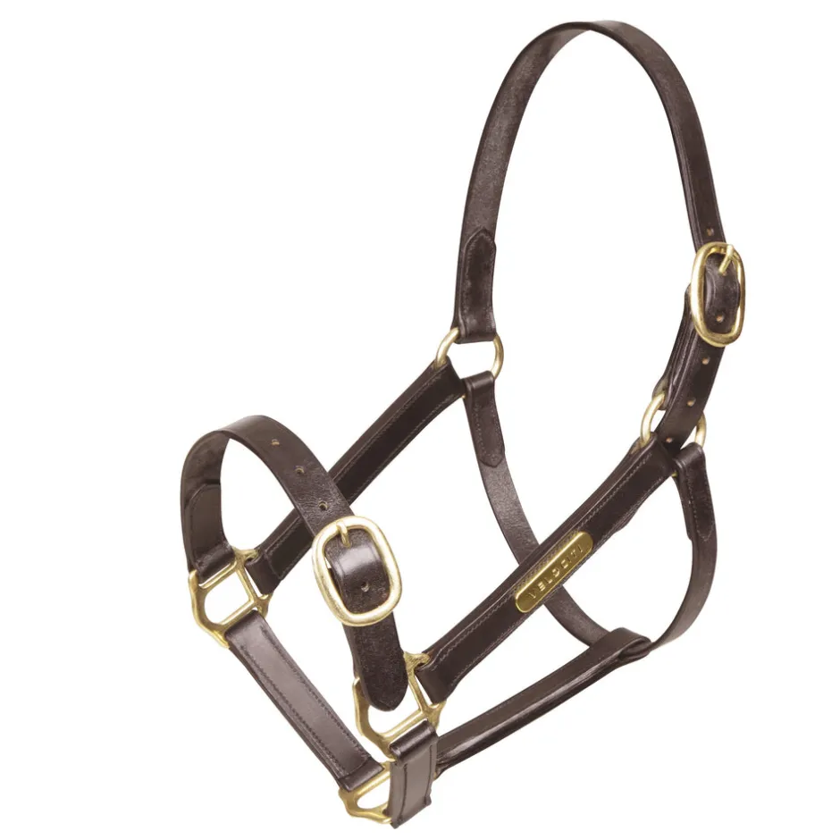 Shires Equestrian Velociti GARA Fully Adjustable Leather Headcollar