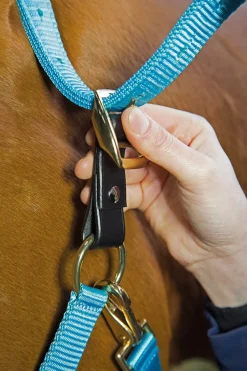 Shires Equestrian Velociti GARA Headcollar Breakaway Attachment