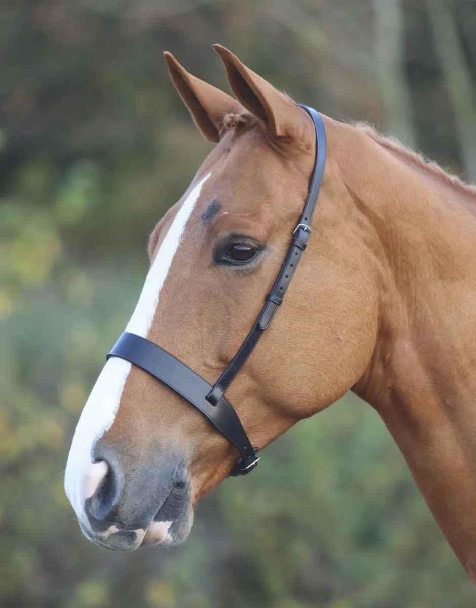 Shires Equestrian Velociti GARA Hunter Cavesson Noseband