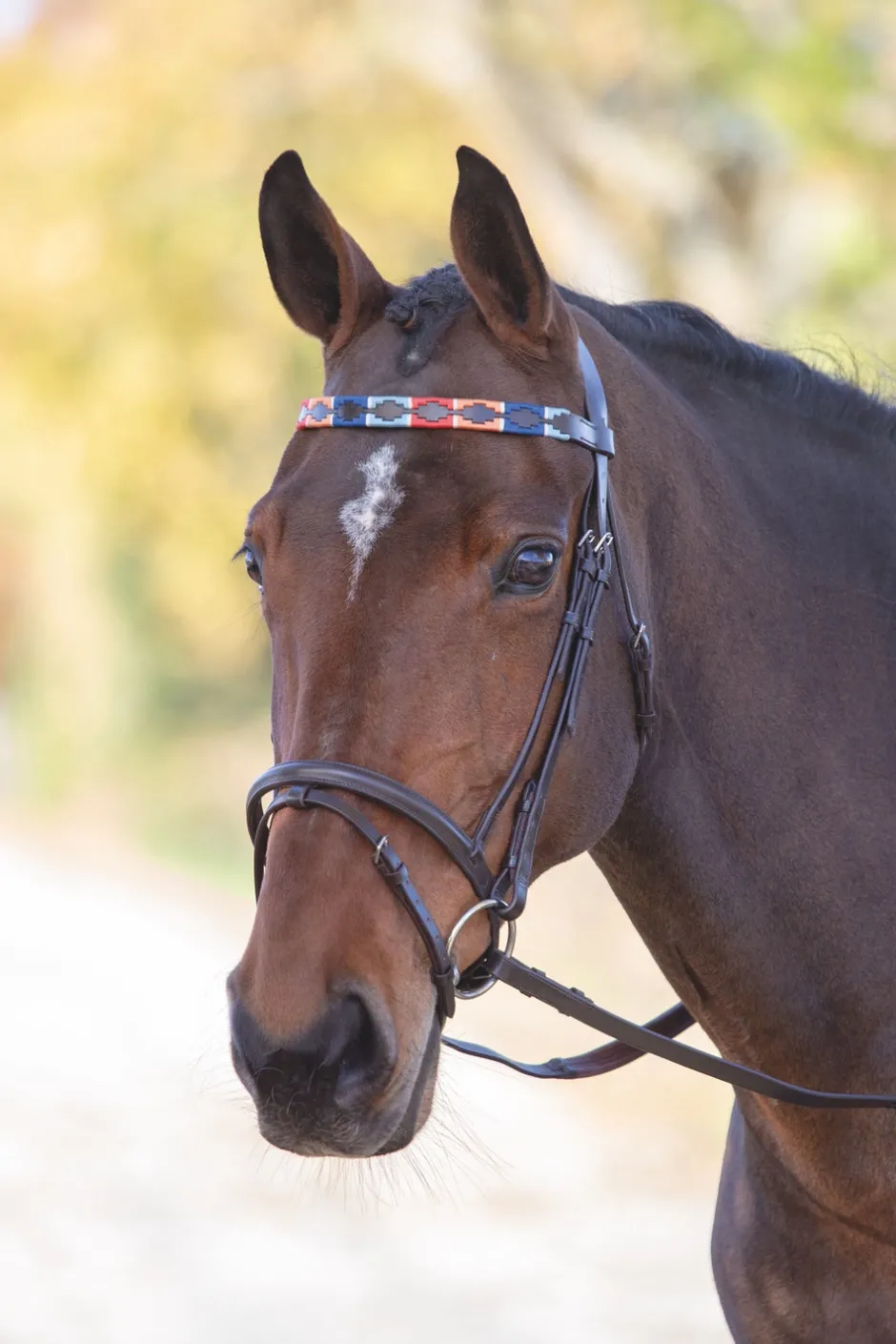 Shires Equestrian Velociti GARA Leather Polo Browband