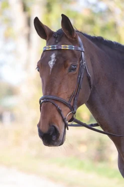 Shires Equestrian Velociti GARA Leather Polo Browband