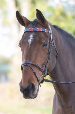 Shires Equestrian Velociti GARA Leather Polo Browband