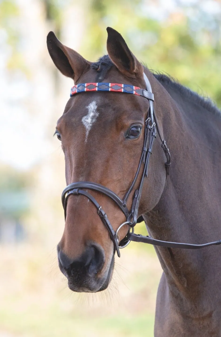 Shires Equestrian Velociti GARA Leather Polo Browband
