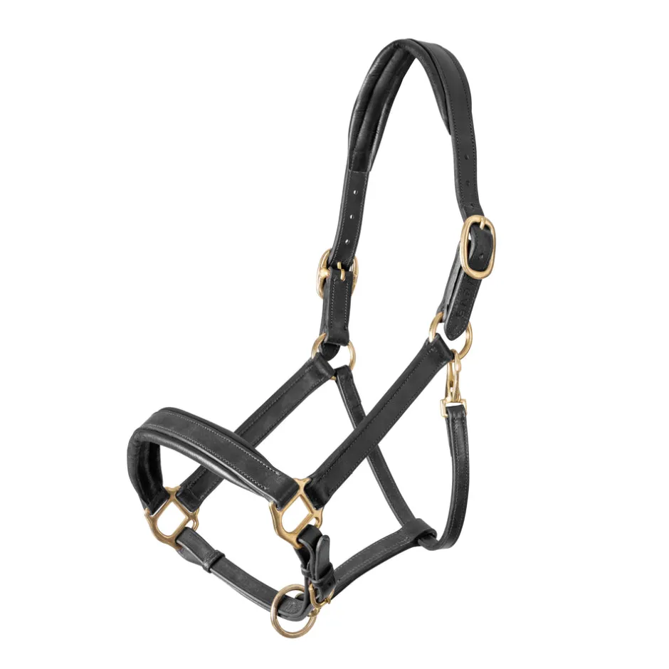 Shires Equestrian Velociti GARA Leather Travel Headcollar