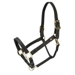 Shires Equestrian Velociti Lusso Girona Leather Headcollar