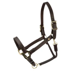Shires Equestrian Velociti Lusso Girona Leather Headcollar
