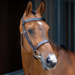 Shires Equestrian Velociti Lusso Hunter Cavesson Bridle