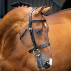 Shires Equestrian Velociti Lusso Hunter Cavesson Bridle