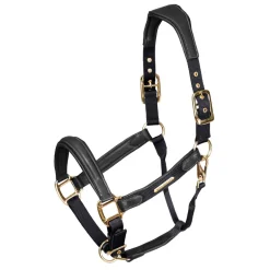 Shires Equestrian Velociti Lusso Padded Leather Headcollar