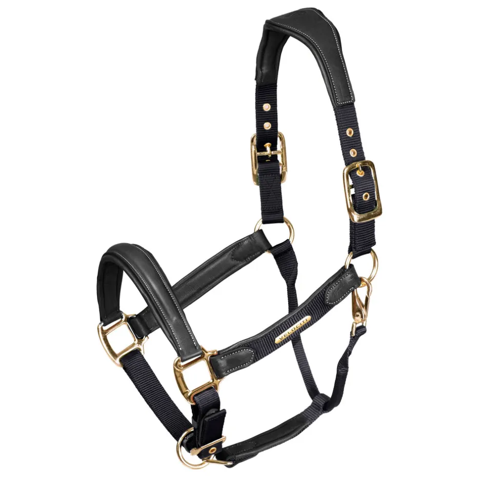 Shires Equestrian Velociti Lusso Padded Leather Headcollar