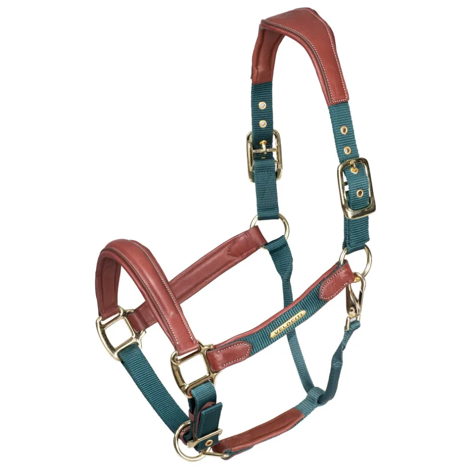 Shires Equestrian Velociti Lusso Padded Leather Headcollar