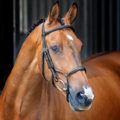 Shires Equestrian Velociti Lusso Rolled Padded Cavesson Bridle