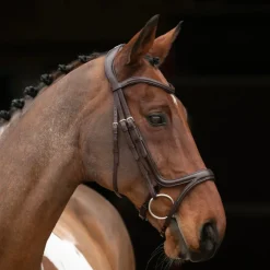 Shires Equestrian Velociti RAPIDA Comfort Flash Bridle