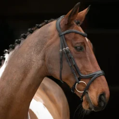 Shires Equestrian Velociti RAPIDA Comfort Flash Bridle