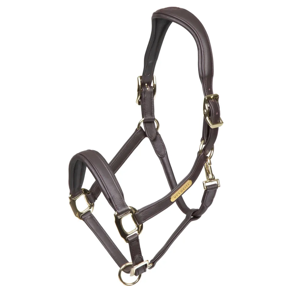 Shires Equestrian Velociti RAPIDA Comfort Leather Headcollar