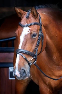 Shires Equestrian Velociti RAPIDA Dressage Bridle with Flash