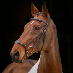 Shires Equestrian Velociti RAPIDA Drop Noseband Bridle