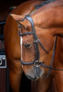 Shires Equestrian Velociti RAPIDA Ergonomic Cavesson Bridle