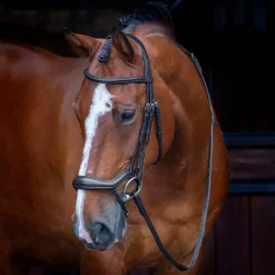 Shires Equestrian Velociti RAPIDA Ergonomic Flash Bridle