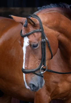 Shires Equestrian Velociti RAPIDA Ergonomic Curved Flash Bridle