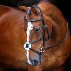 Shires Equestrian Velociti RAPIDA Grackle Bridle