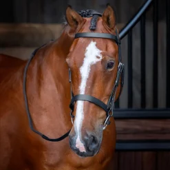 Shires Equestrian Velociti RAPIDA Hunter Cavesson Bridle