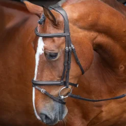 Shires Equestrian Velociti RAPIDA Padded Raised Flash Bridle