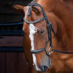 Shires Equestrian Velociti RAPIDA Rolled Padded Cavesson Bridle