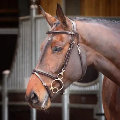 Shires Equestrian Velociti RAPIDA Training Bridle