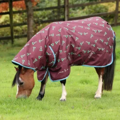 Shires Equestrian Winnie & Me 200 Turnout Rug